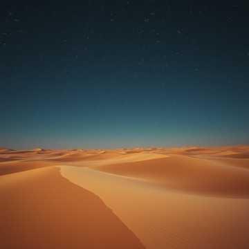 Mirage - Fongi Ritual