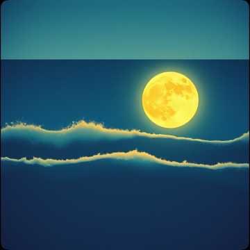 Viens danser -  Fongi Ritual