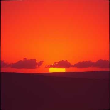 Sunshine on the Floor