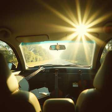 Sunlight in the Backseat