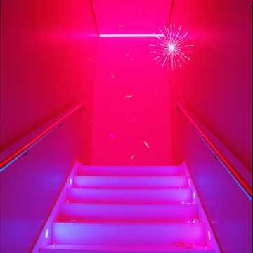 Sweat On The Ceiling