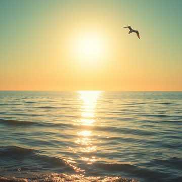 On the Water, Golden